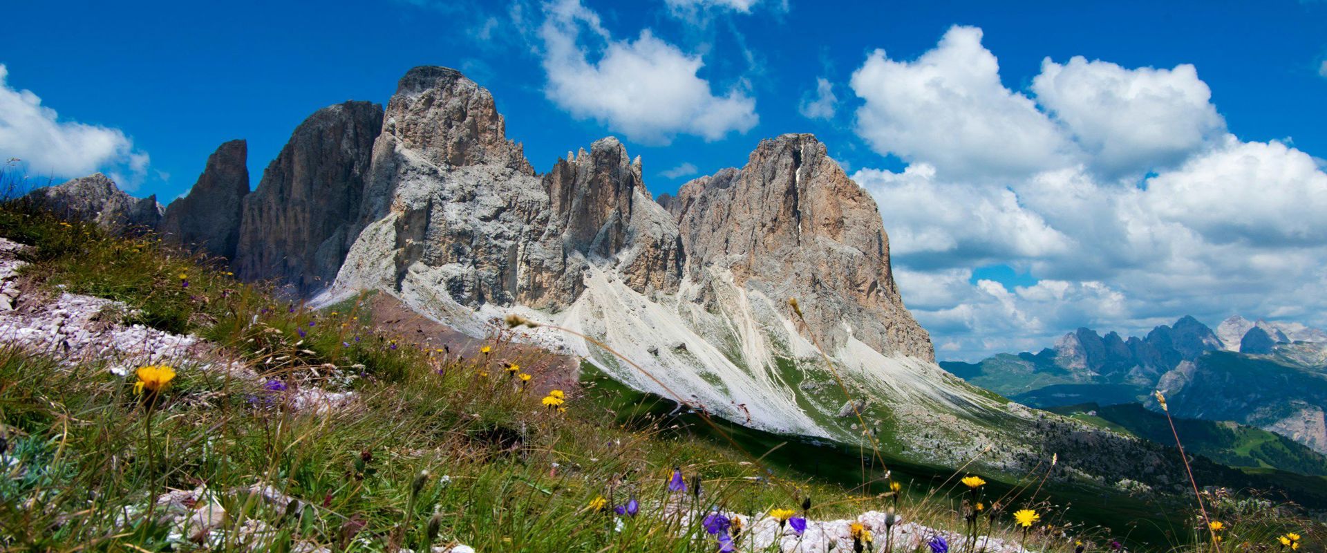 Sassolungo Vista sul Sassolungo con prato alpino in fioritura