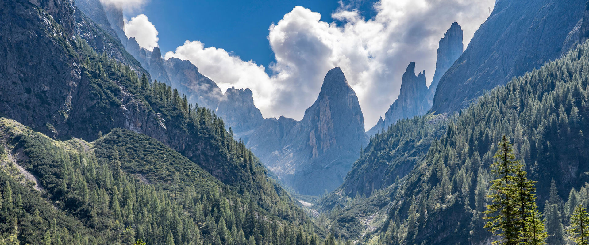 Val Fiscalina Il ciclista percorre il sentiero forestale nella valle.