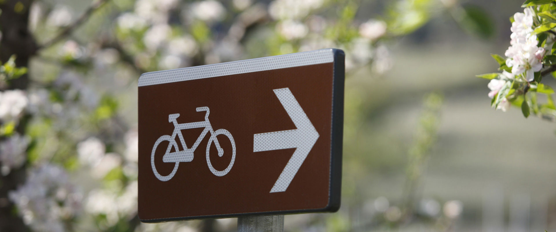 Cartello in legno con simbolo della bicicletta.