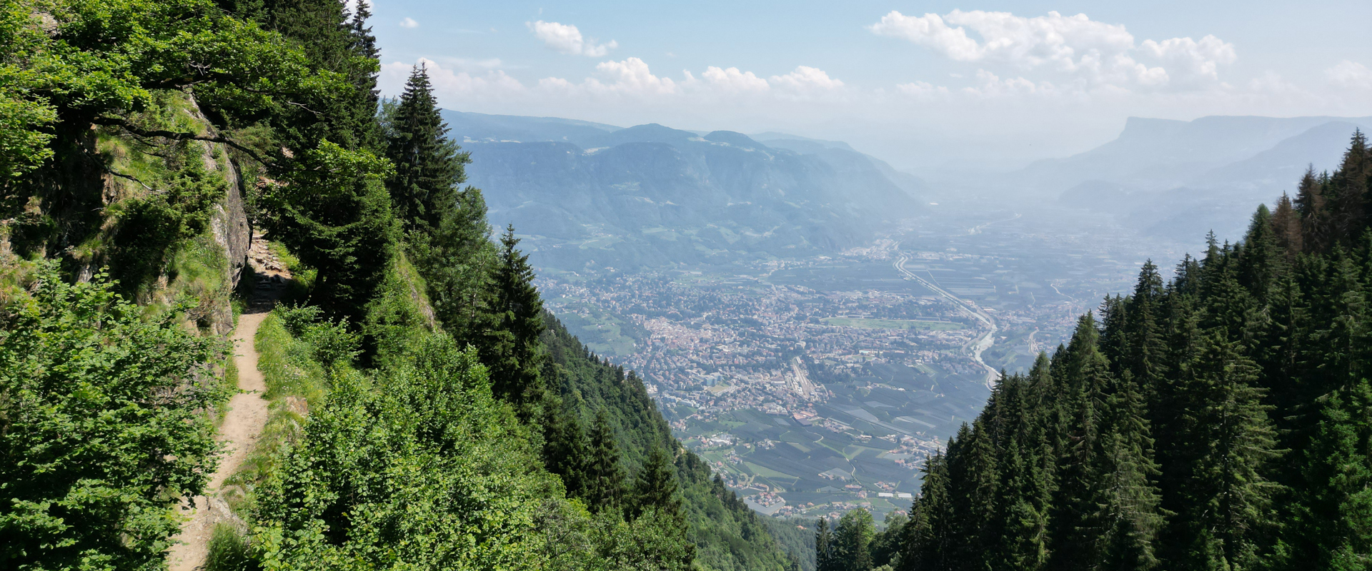 Alta via di Merano presso Lagundo Sentiero escursionistico sul versante boscoso di una montagna, ampia vista sulla valle