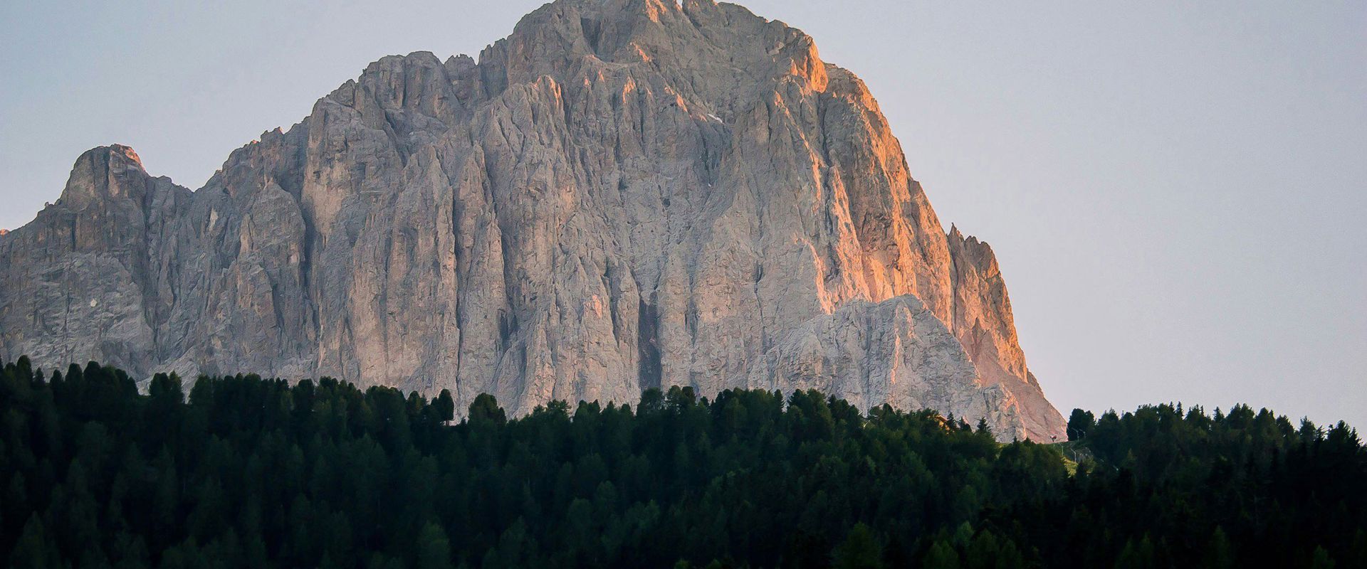 Il Sassolungo che emerge dal bosco