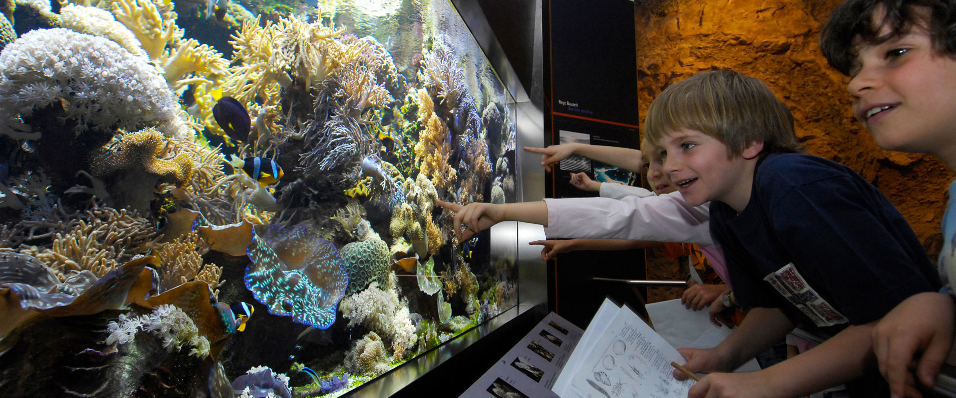 I bambini ammirano il coloratissimo acquario del Museo della Natura.