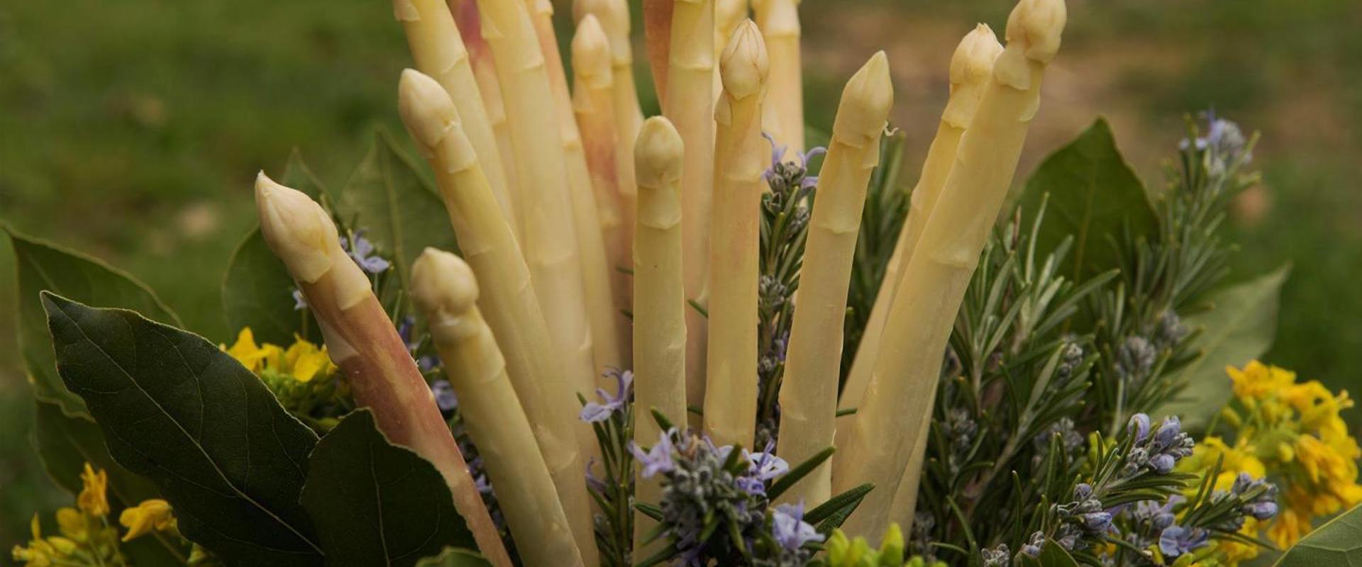 Un mazzo di asparagi bianchi contornati da bellissimi fiori lilla e gialli