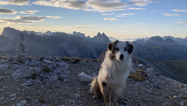Escursioni con il cane nelle Dolomiti